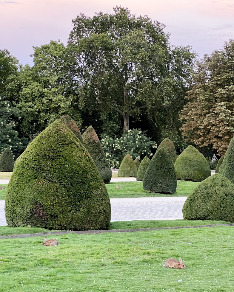 Rabbits in Invalides fun fact