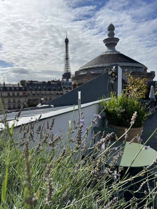 吉美國立亞洲藝術博物館頂樓花園